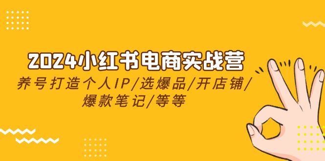 2024小红书电商实战营，养号打造IP/选爆品/开店铺/爆款笔记/等等（24节）-天孤无涯网