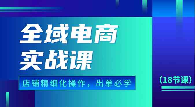 全域电商实战课，个人店铺精细化操作流程，出单必学内容（18节课）-天孤无涯网