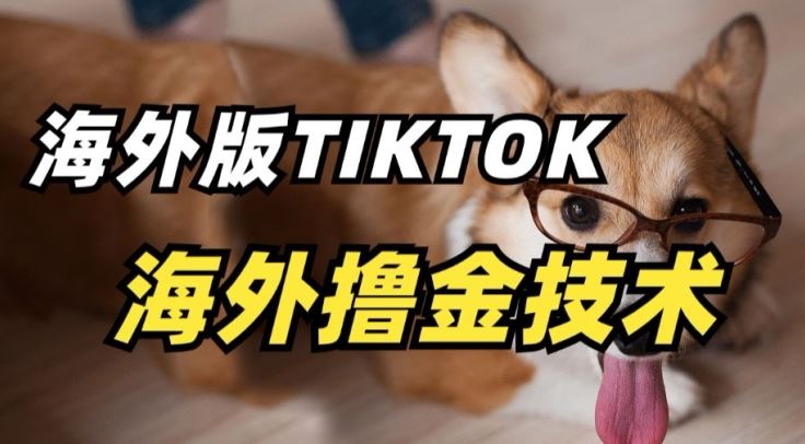 抖音海外版tiktok撸金技术，这个风口行业，赚钱真的不难【揭秘】-天孤无涯网
