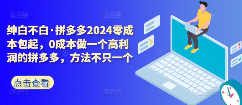 拼多多2024零成本包起，0成本做一个高利润的拼多多，方法不只一个-天孤无涯网