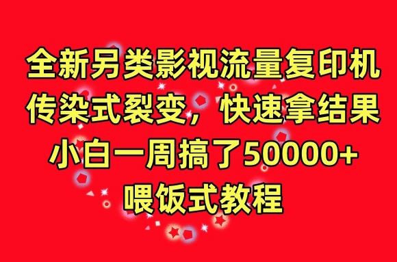 全新另类影视流量复印机，传染式裂变，快速拿结果，小白一周搞了50000+，喂饭式教程【揭秘】-天孤无涯网