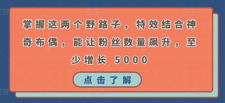 掌握这两个野路子，特效结合神奇布偶，能让粉丝数量飙升，至少增长 5000【揭秘】-天孤无涯网