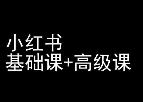 小红书基础课+高级课-小红书运营教程-天孤无涯网