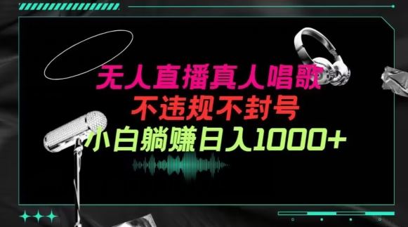 抖音24小时无人直播音乐，不违规，不封号纯撸音浪，小白实操当天日入1000+【揭秘】-天孤无涯网