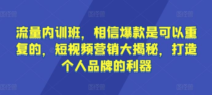 流量内训班，相信爆款是可以重复的，短视频营销大揭秘，打造个人品牌的利器-天孤无涯网