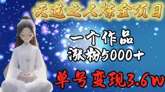 天选之人炼金项目，一个作品涨粉5000+，单号变现3.6w【揭秘】-天孤无涯网