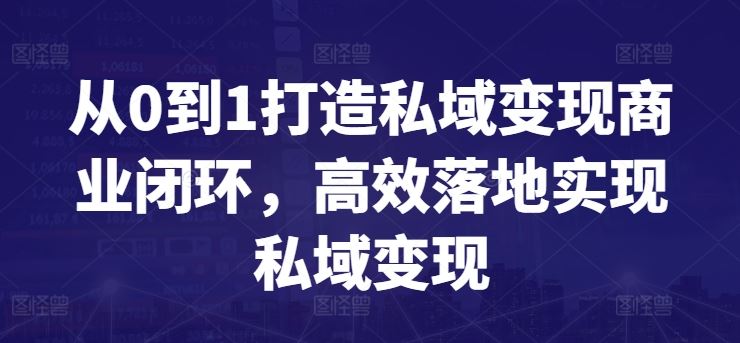 从0到1打造私域变现商业闭环，高效落地实现私域变现-天孤无涯网