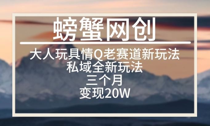 大人玩具情Q用品赛道私域全新玩法，三个月变现20W，老项目新思路【揭秘】-天孤无涯网