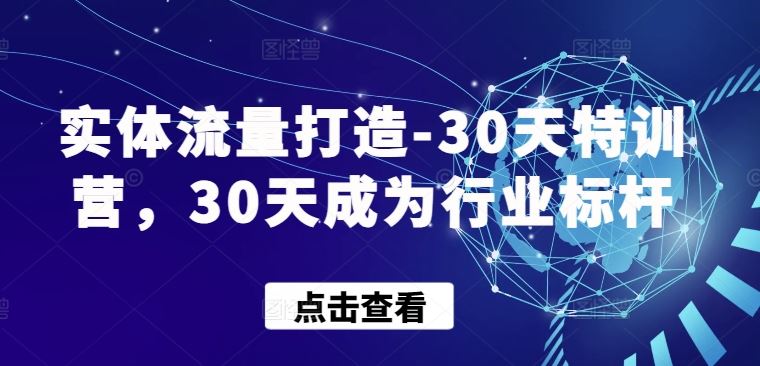 实体流量打造-30天特训营，30天成为行业标杆-天孤无涯网