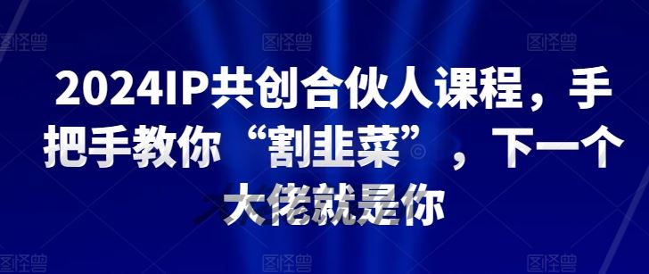 2024IP共创合伙人课程，手把手教你“割韭菜”，下一个大佬就是你-天孤无涯网