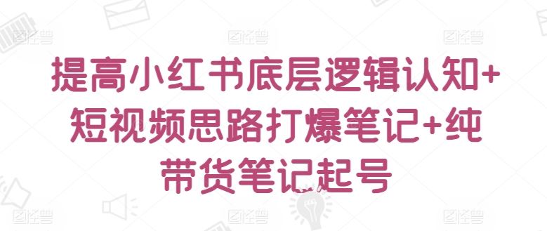 提高小红书底层逻辑认知+短视频思路打爆笔记+纯带货笔记起号-天孤无涯网