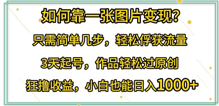 如何靠一张图片变现?只需简单几步，轻松俘获流量，3天起号，作品轻松过原创【揭秘】-天孤无涯网