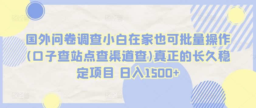 国外问卷调查小白在家也可批量操作(口子查站点查渠道查)真正的长久稳定项目 日入1500+【揭秘】-天孤无涯网