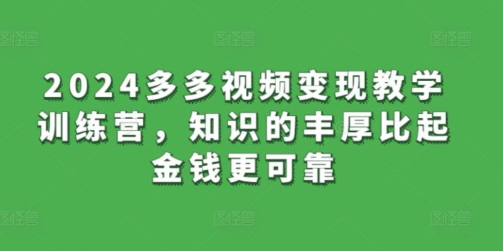 2024多多视频变现教学训练营，知识的丰厚比起金钱更可靠-天孤无涯网
