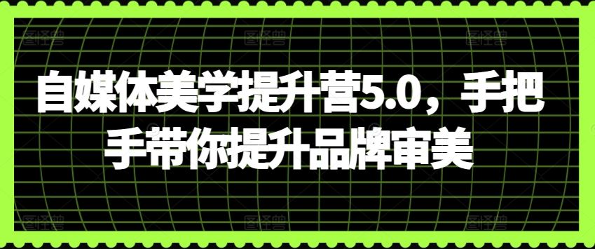 自媒体美学提升营5.0，手把手带你提升品牌审美-天孤无涯网