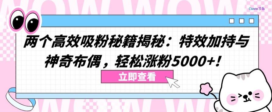 两个高效吸粉秘籍揭秘：特效加持与神奇布偶，轻松涨粉5000+【揭秘】-天孤无涯网