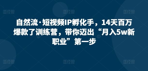 自然流·短视频IP孵化手，14天百万爆款了训练营，带你迈出“月入5w新职业”第一步-天孤无涯网