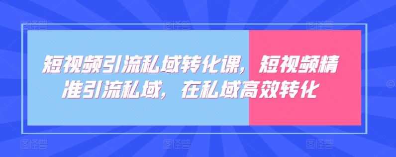 短视频引流私域转化课，短视频精准引流私域，在私域高效转化-天孤无涯网
