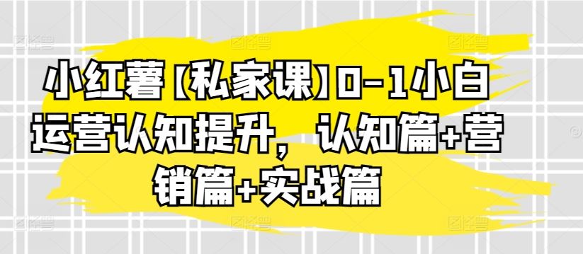 小红薯【私家课】0-1小白运营认知提升，认知篇+营销篇+实战篇-天孤无涯网