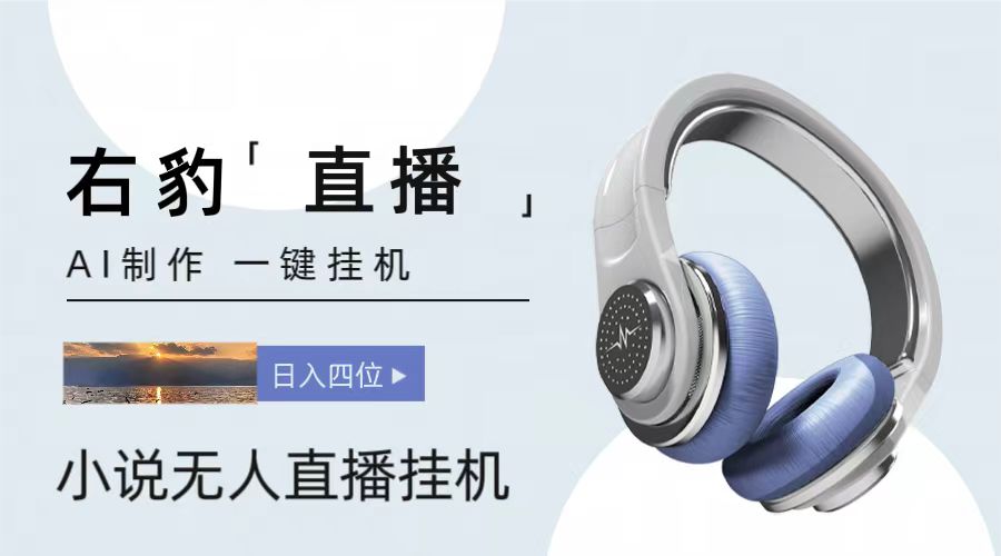 右豹小说无人直播挂机吸金项目，简单易行收益稳定， 月入1000+-天孤无涯网