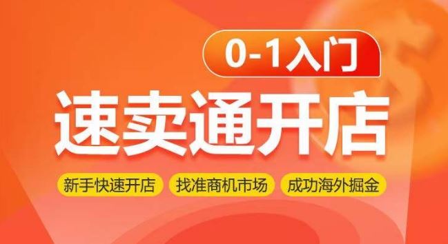 速卖通开店0-1入门，新手快速开店 找准商机市场 成功海外掘金-天孤无涯网