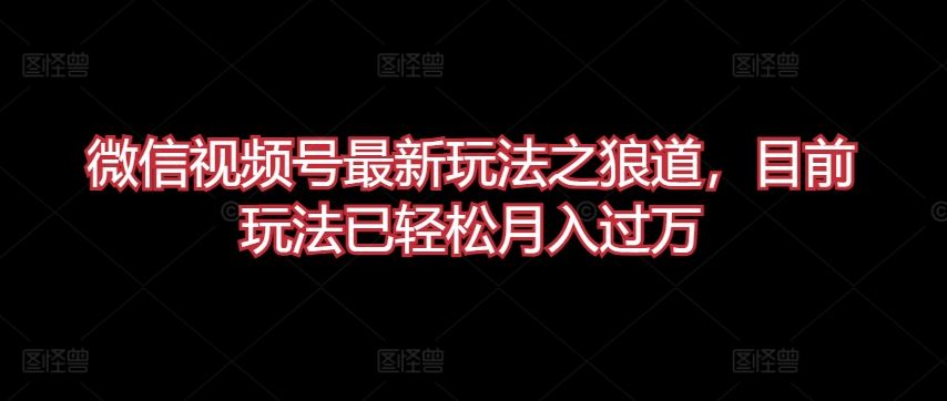 微信视频号最新玩法之狼道，目前玩法已轻松月入过万【揭秘】-天孤无涯网
