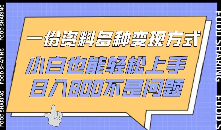 一份资料多种变现方式，小白也能轻松上手，日入800不是问题【揭秘】-天孤无涯网