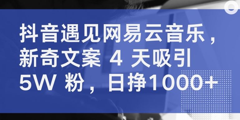 抖音遇见网易云音乐，新奇文案 4 天吸引 5W 粉，日挣1000+【揭秘】-天孤无涯网
