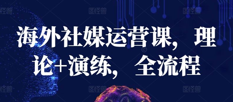 海外社媒运营课，理论+演练，全流程-天孤无涯网