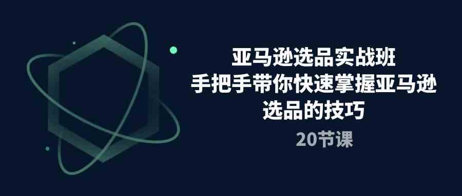 亚马逊选品实战班，手把手带你快速掌握亚马逊选品的技巧（20节课）-天孤无涯网