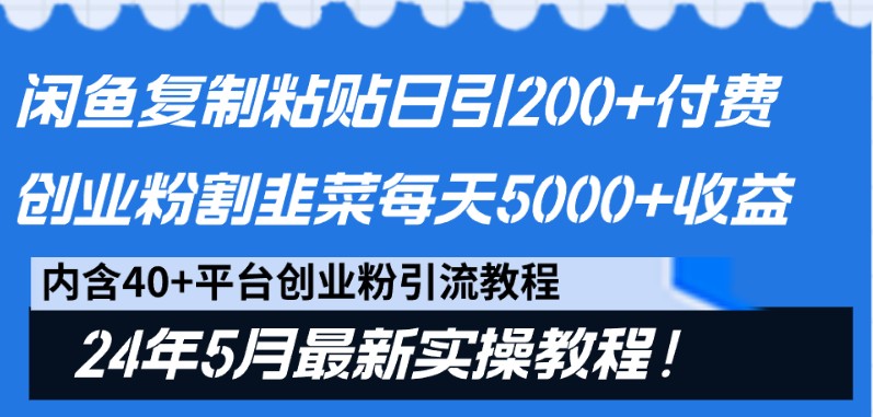 闲鱼复制粘贴日引200+付费创业粉，24年5月最新方法！割韭菜日稳定5000+收益-天孤无涯网
