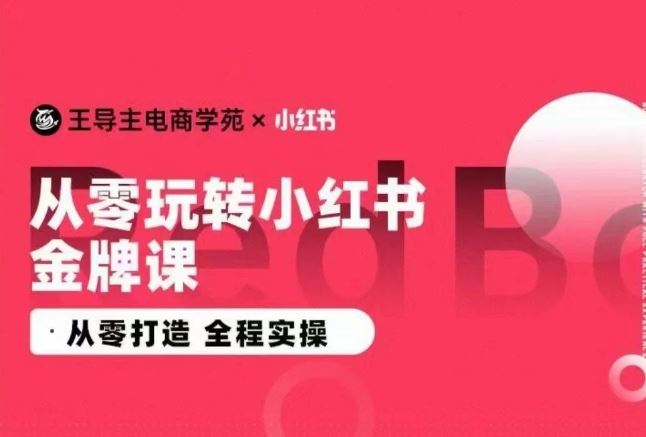 王导主·小红书电商运营实操课，​从零打造  全程实操-天孤无涯网