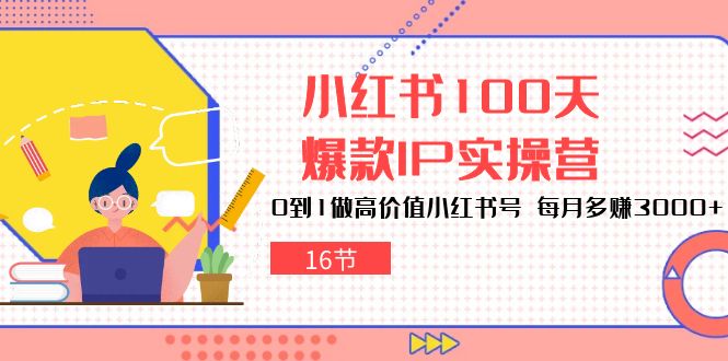 小红书100天爆款IP实操营，0到1做高价值小红书号，每月多赚3000+（16节）-天孤无涯网