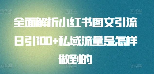 全面解析小红书图文引流日引100+私域流量是怎样做到的【揭秘】-天孤无涯网