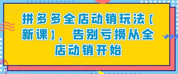 拼多多全店动销玩法【新课】，告别亏损从全店动销开始-天孤无涯网