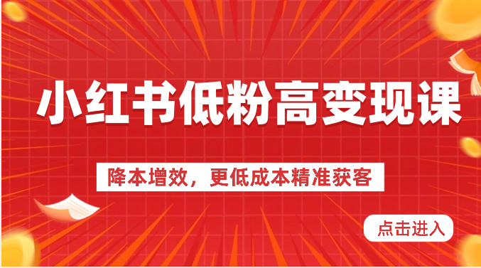 小红书低粉高变现课-降本增效，更低成本精准获客，小红书必爆的流量密码-天孤无涯网