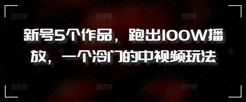 新号5个作品，跑出100W播放，一个冷门的中视频玩法【揭秘】-天孤无涯网