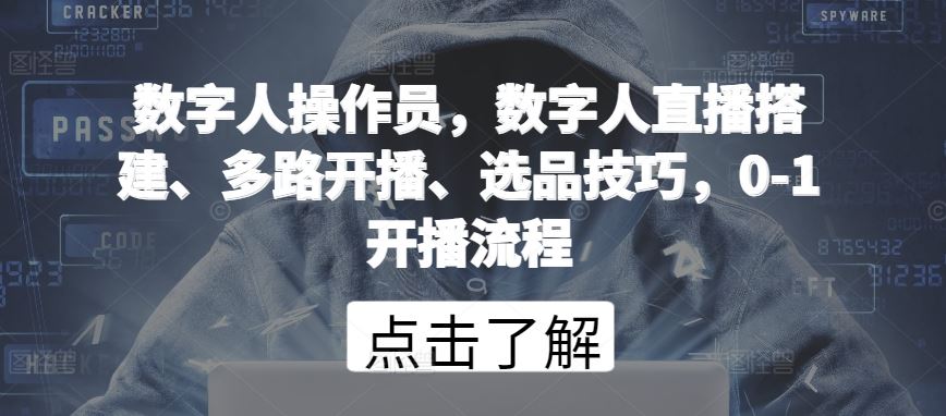 数字人操作员，数字人直播搭建、多路开播、选品技巧，0-1开播流程-天孤无涯网