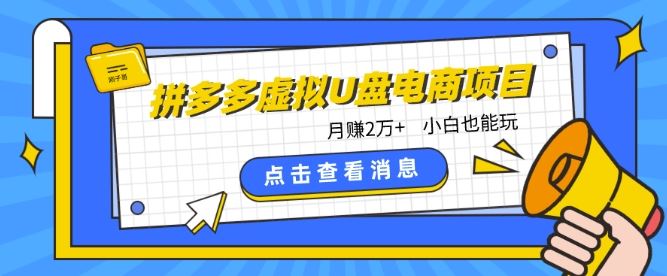 拼多多虚拟U盘电商红利项目：月赚2万+，新手小白也能玩-天孤无涯网