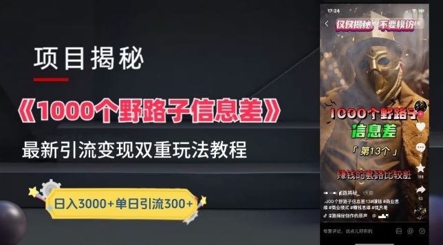 一千个野路子信息差最新玩法教程-变现+引流的玩法具体拆解【揭秘】-天孤无涯网