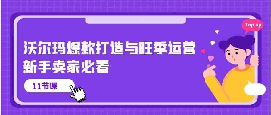 沃尔玛爆款打造与旺季运营，新手卖家必看（11节视频课）-天孤无涯网