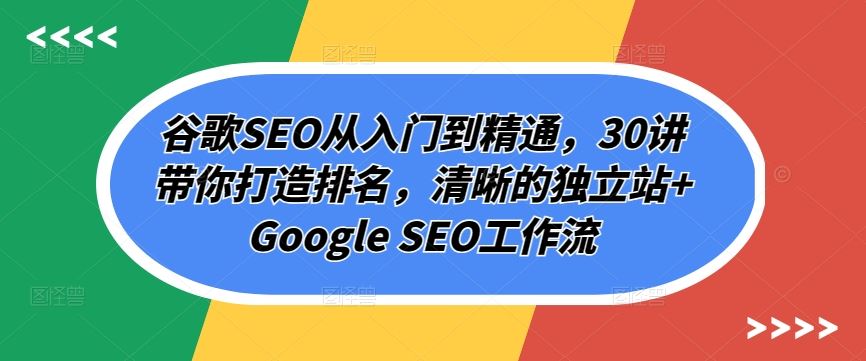 谷歌SEO从入门到精通，30讲带你打造排名，清晰的独立站+Google SEO工作流-天孤无涯网