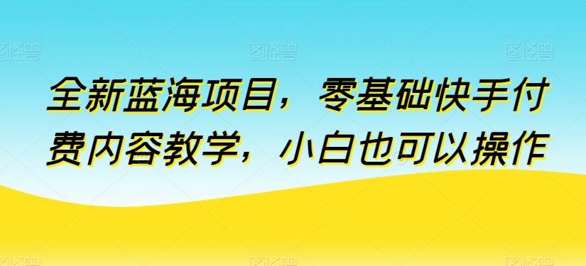 全新蓝海项目，零基础快手付费内容教学，小白也可以操作【揭秘】-天孤无涯网