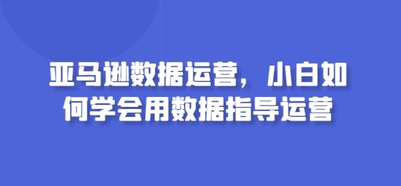 亚马逊数据运营，小白如何学会用数据指导运营-天孤无涯网