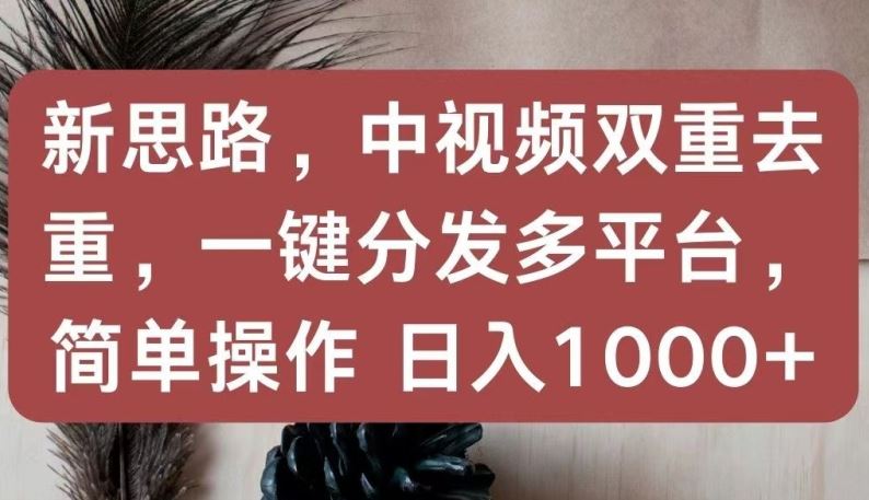 新思路，中视频双重去重，一键分发多平台，简单操作，日入1000+【揭秘】-天孤无涯网