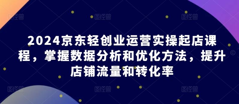 2024京东轻创业运营实操起店课程，掌握数据分析和优化方法，提升店铺流量和转化率-天孤无涯网