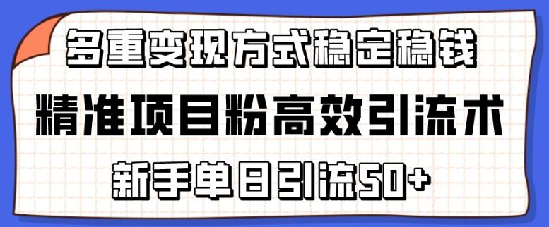 精准项目粉高效引流术，新手单日引流50+，多重变现方式稳定赚钱【揭秘】-天孤无涯网
