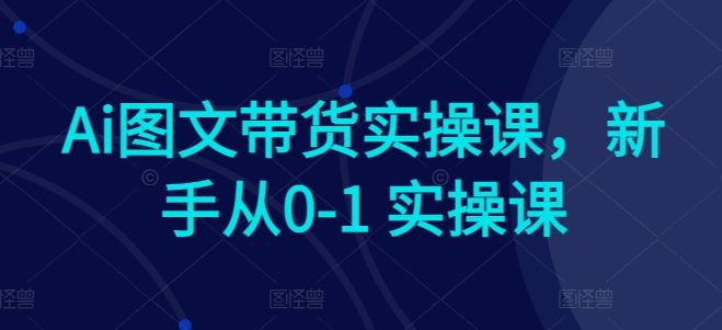 Ai图文带货实操课，新手从0-1 实操课-天孤无涯网