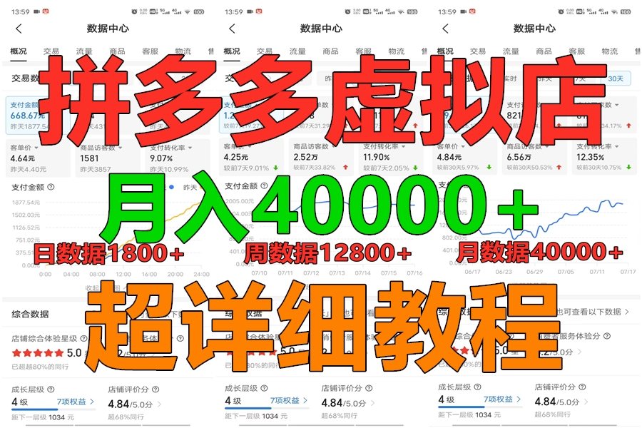 拼多多虚拟电商训练营月入40000+，全网最详细，你做你也行，暴利稳定长久-天孤无涯网