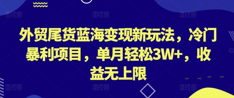 外贸尾货蓝海变现新玩法，冷门暴利项目，单月轻松3W+，收益无上限【揭秘】-天孤无涯网